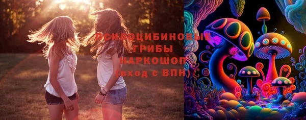 MESCALINE Аркадак