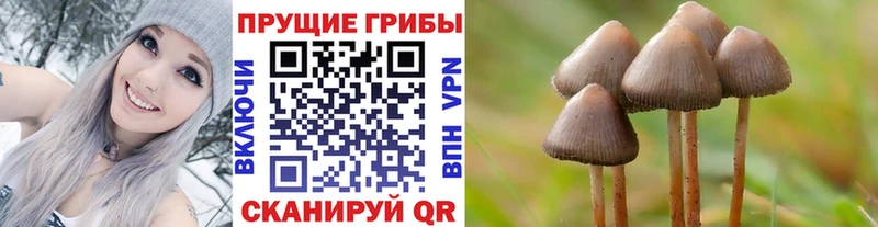 Галлюциногенные грибы Magic Shrooms  KRAKEN онион  Малоархангельск  где найти наркотики 